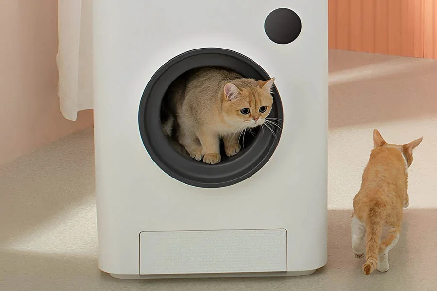 litterboxes