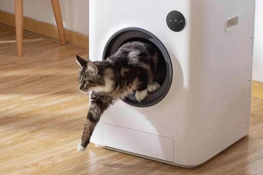 auto litterbox