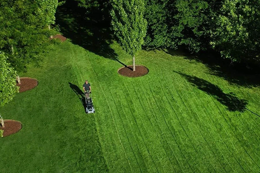 best lightweight lawn mower